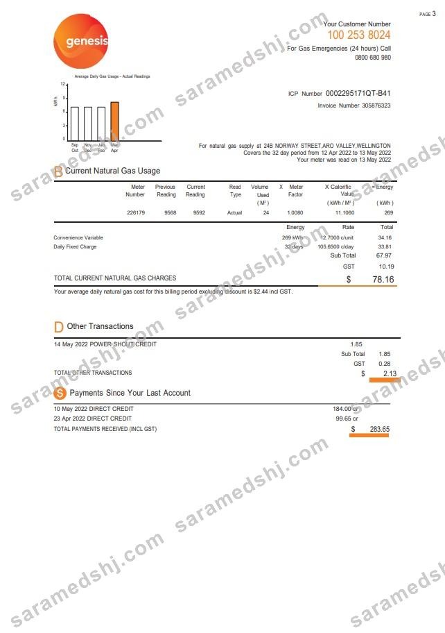 New Zealand Genesis Gas utility bill template in Word and PDF format, 3 pages 2